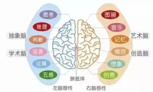 大声朗读对孩子的5大好处，暑假语文成绩蹭蹭提高