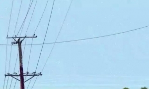 寒暑假补课不如补这4样东西，孩子想不优秀都难