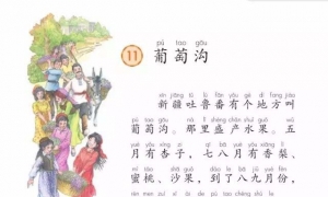 11.葡萄沟