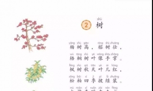 2.树