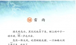 16.雷雨