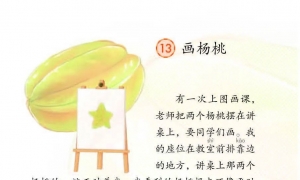 13.画杨桃