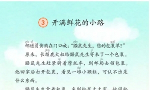 3.开满鲜花的小路