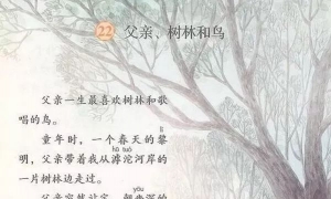 22.父亲、树林和鸟