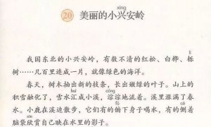 20.美丽的小兴安岭