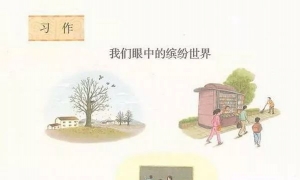 习作 我们眼中的缤纷世界