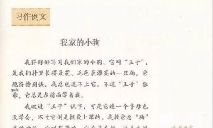 习作例文 我家的小狗