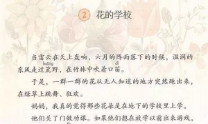 2.花的学校