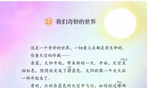 22.我们奇妙的世界