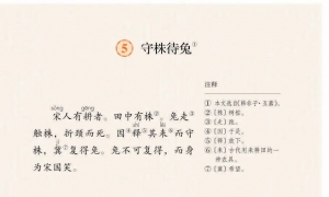 5.守株待兔