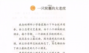 19.一直窝囊的大老虎