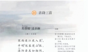 21.古诗三首《芙蓉楼送辛渐》《塞下曲》《墨梅》