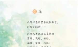 10.绿