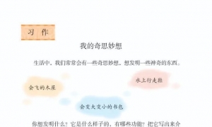 习作 我的奇思妙想