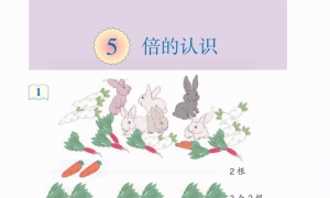5.倍的认识