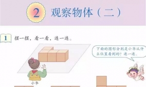 2.观察物体（二）