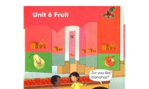 Unit 6  Fruit