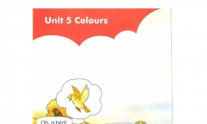 Unit 5 Colours