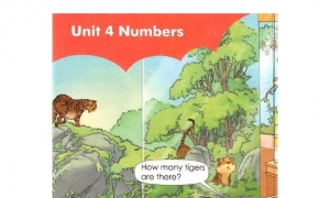 Unit 4 Numbers