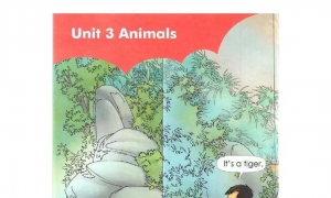Unit 3 Animals