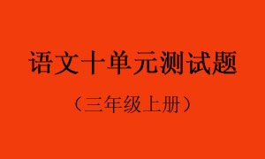 10.语文十单元测试题