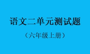 2.语文二单元测试题