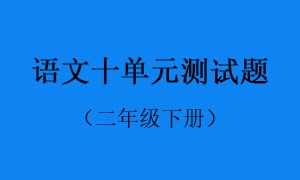 10.语文十单元测试题