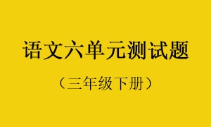 6.语文六单元测试题