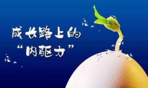 教育的最高境界：是唤醒孩子学习的“内驱力”，方法超简单但管用 ... ...