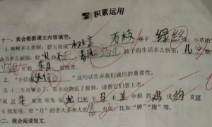 孩子语文基础薄弱，家长可以看看这篇文章！