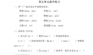 一年级语文下册第五单元提升练习1