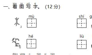 一年级语文上册精选第一次月考卷二