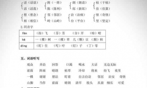 二年级语文上册5-8单元知识点分类汇总（精选）