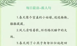 每日晨读，日积月累，积累素材，读着读着就是你的了