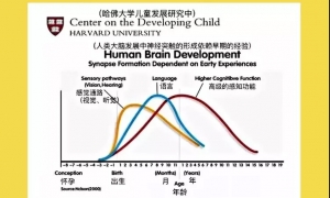 想要孩子成绩稳定提升，需坚持做好一件事 ——思维训练