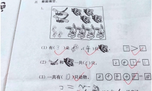 一年级数学上册高频错题+实例讲解+练习