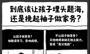 从小做家务 vs 只专注学习：成年后的收入差距