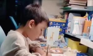 陪读多年发现，小学阶段有很多坑不能踩！
